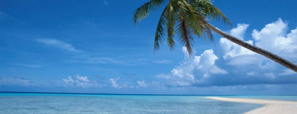 Palm trees over the Surin Islands National Park