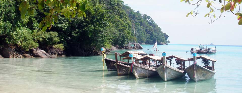 Longtails on the beach of the Surin Islands National Park